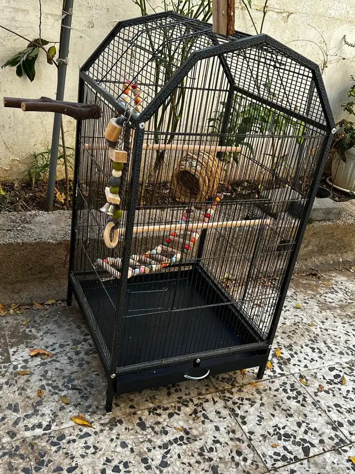 قفص طيور ببغاء 2