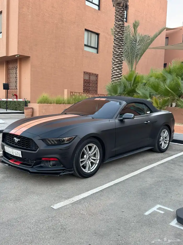 موستنج كشف 2017 0