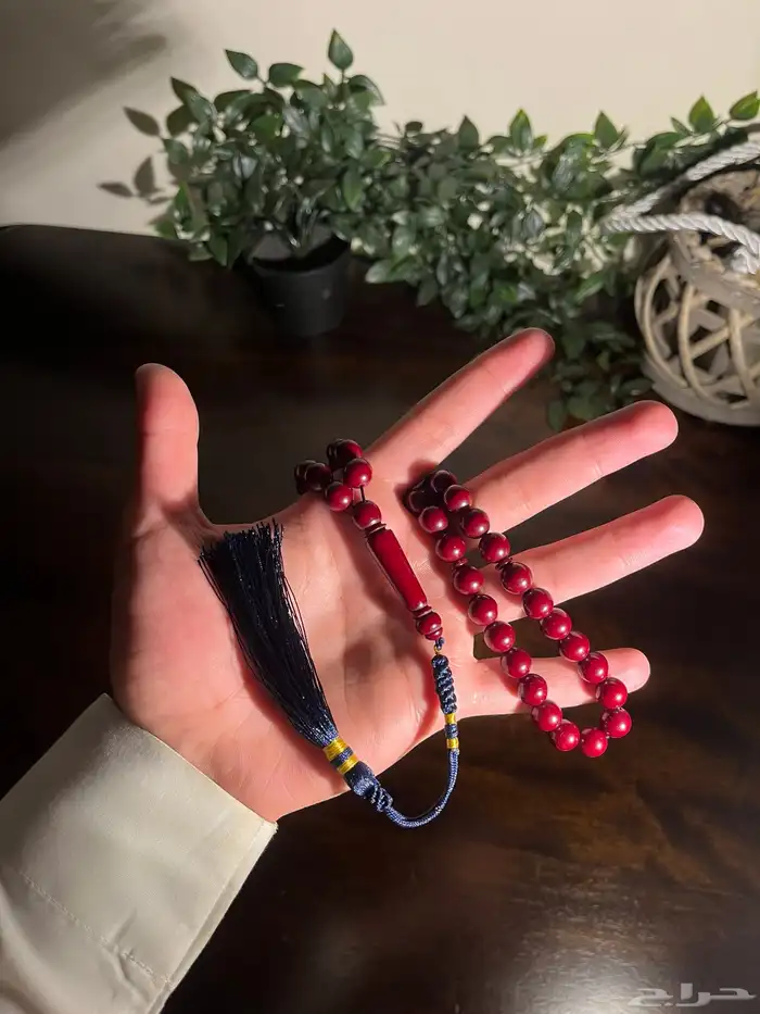 سبح بكلايت 6