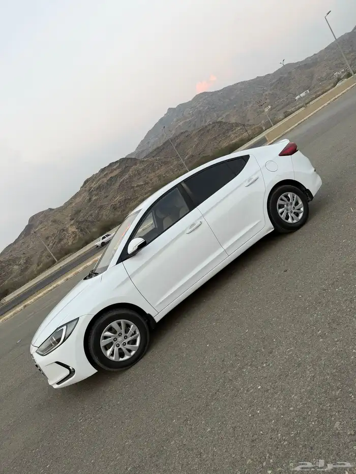 النتراء 2017 11