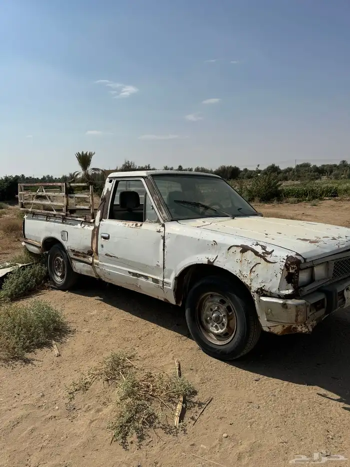 ددسن مزرعه وحلال 4