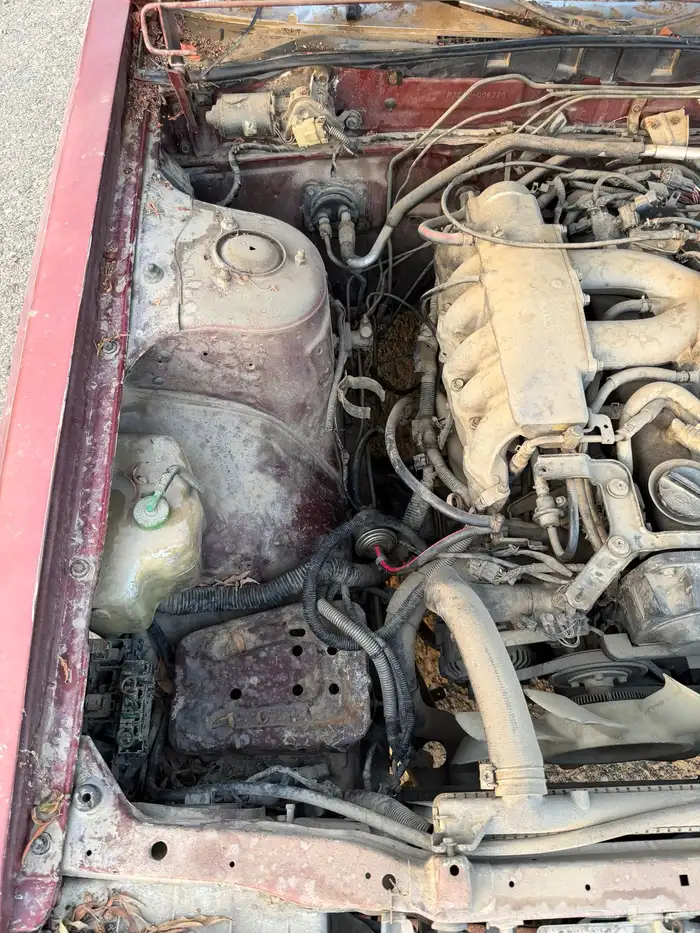 نيسان لوريل 86 15