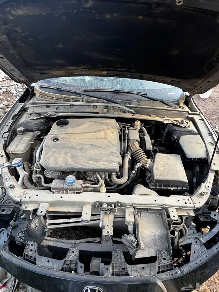 يوني في 2023 تشليح 21