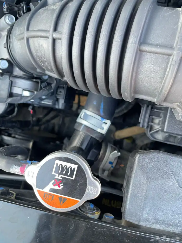 اكسنت 2019 وكالة شرط 19