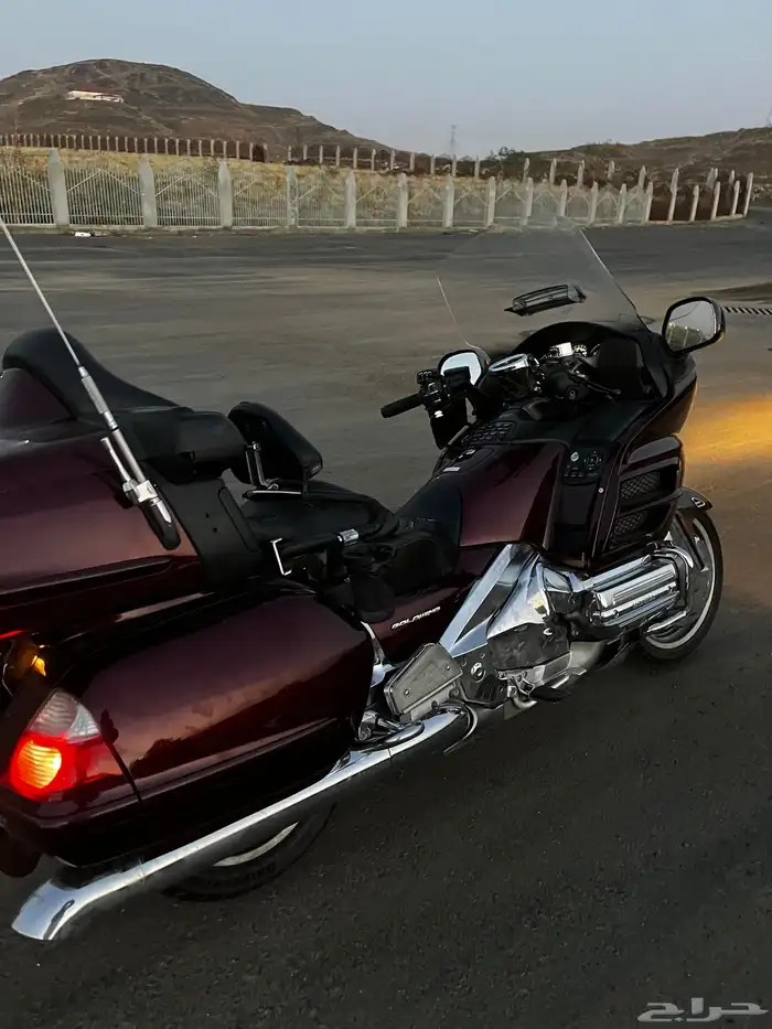 قولد وينق 2008 0