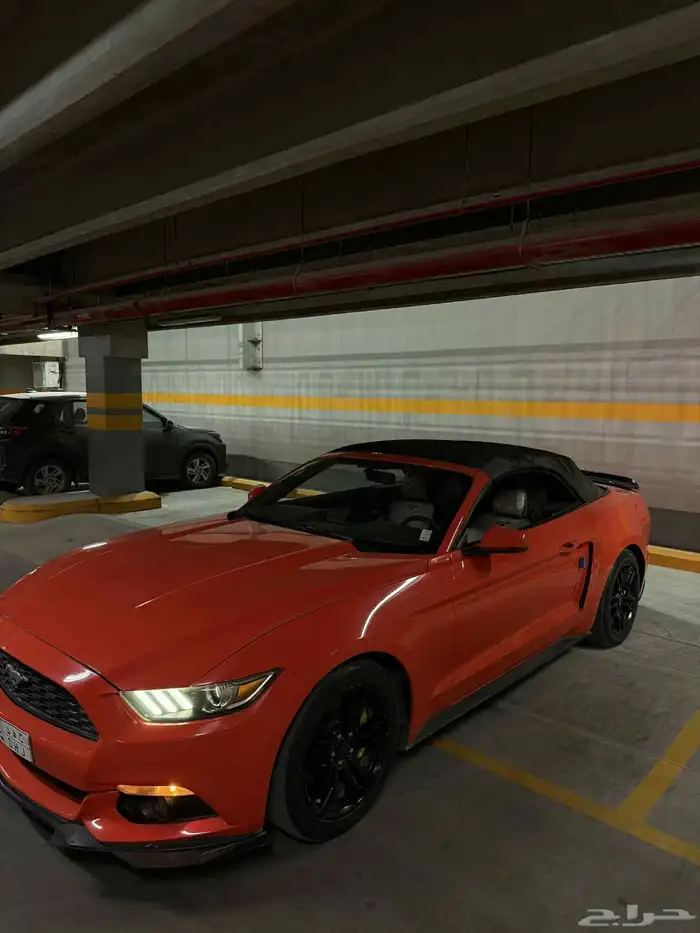 موستنق 2015 كشف - جاهز للموسم - منوة المستخدم 7