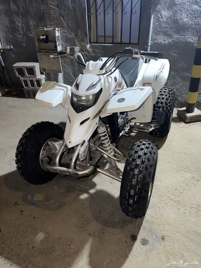 ميني بانشي 0