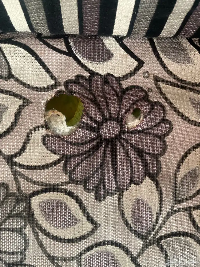 كنب مستعمل 8