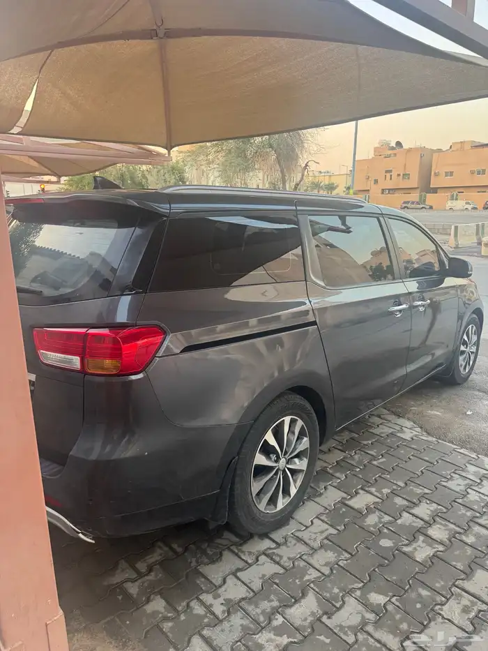 كرنفال ديزل 2017 5