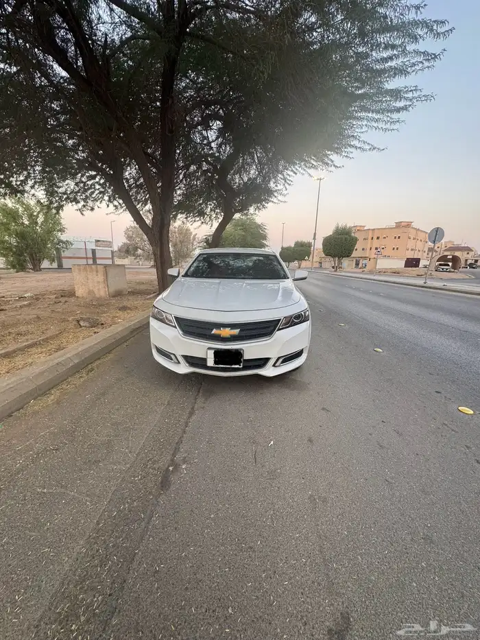 امبالا 2014 LS 12