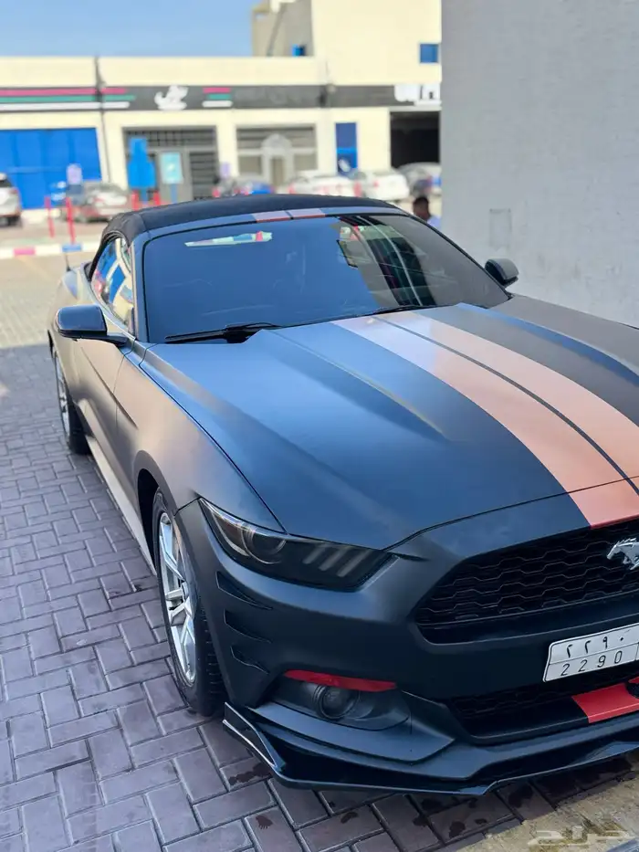 موستنج كشف 2017 2