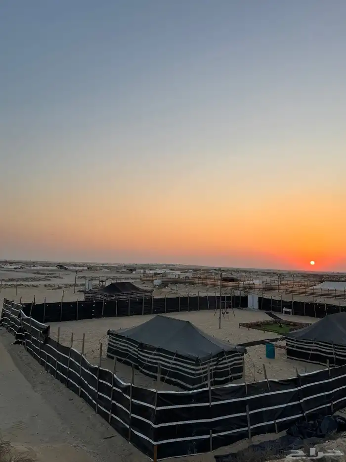 مخيمات للايجار 3