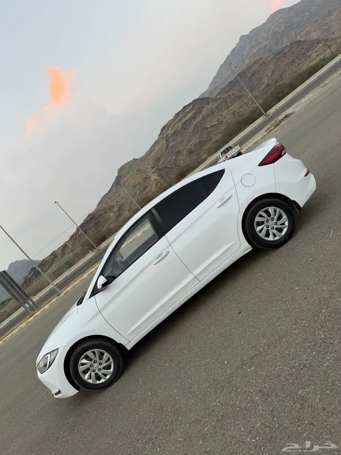 النتراء 2017 5