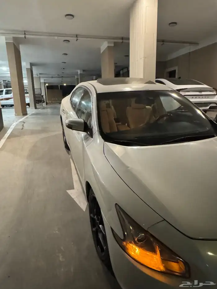 مكسيما 2010 10