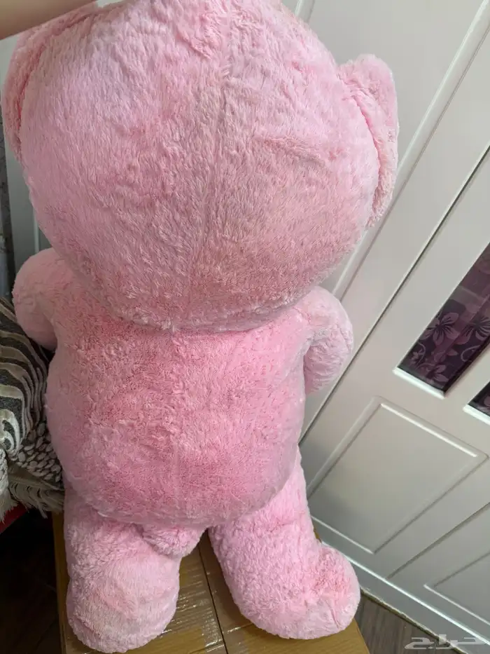 دبدوب كبير 2