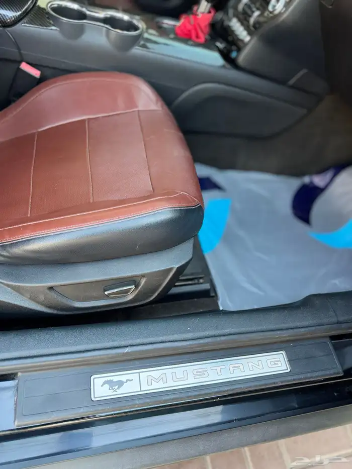 موستنج كشف 2017 7