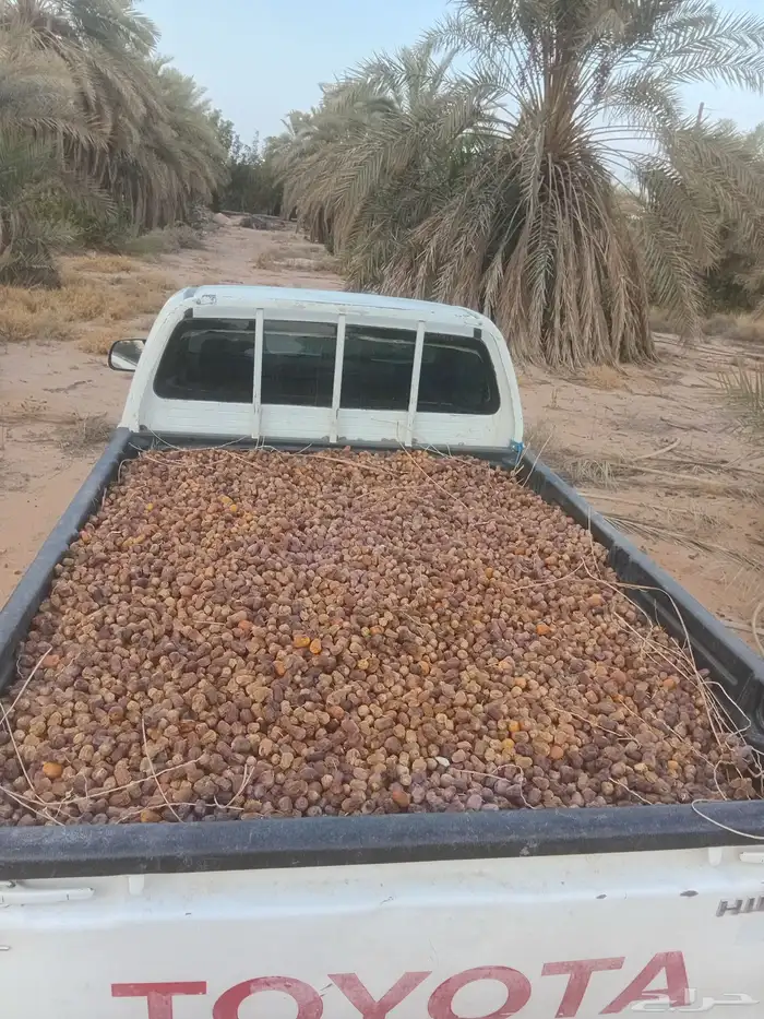 نفيع للبيع 0