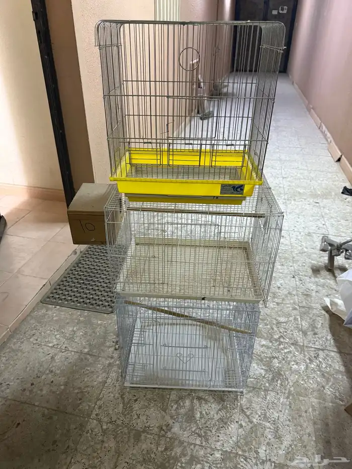 أغراض طيور زينه 0