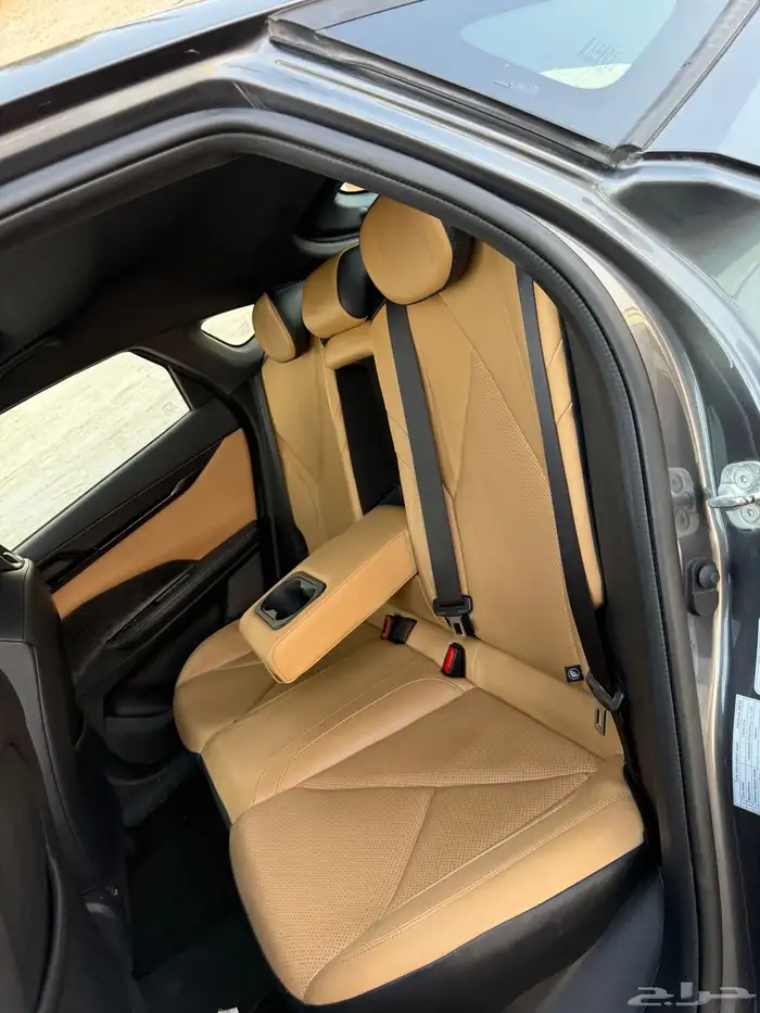 شانجان_Uni_V_2023 44