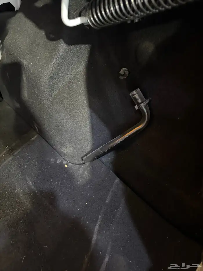 رينو سيمبول 2020 13