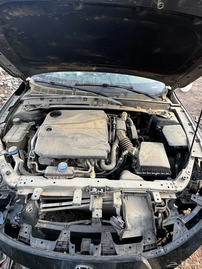 يوني في 2023 تشليح 20