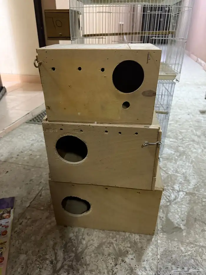 أغراض طيور زينه 1