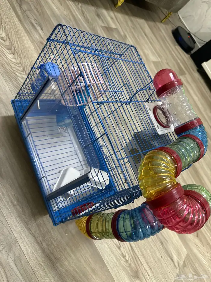 هامستر الفيه جدا  جدا 5