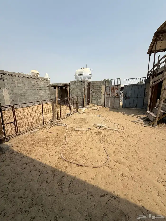 الحوش في سوق الاغنام بالدمام الايجار 2
