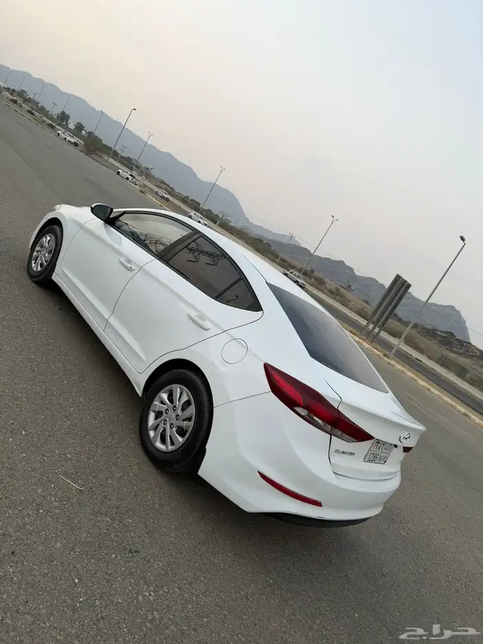 النتراء 2017 4