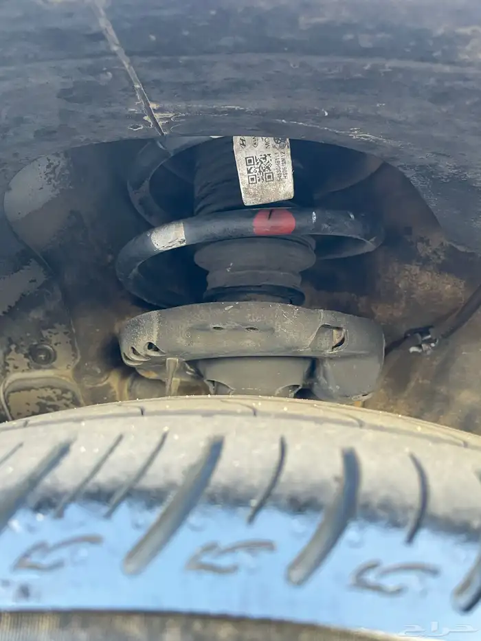 اكسنت 2019 وكالة شرط 32