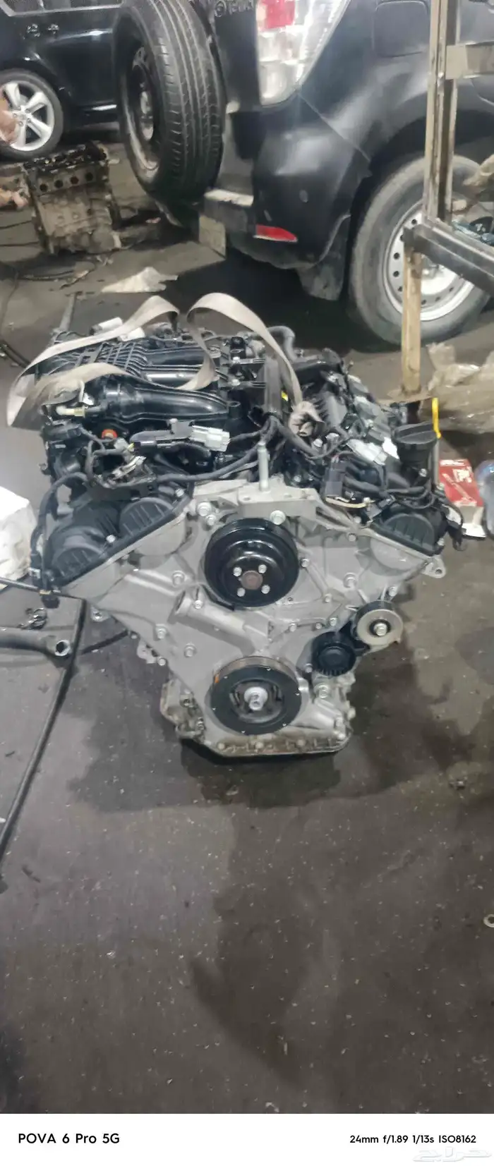 مكاين دوج وكيا كدنزا 0