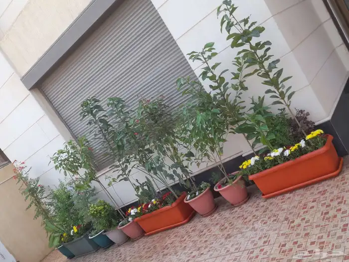 مزارع ومنسق حدائق 3