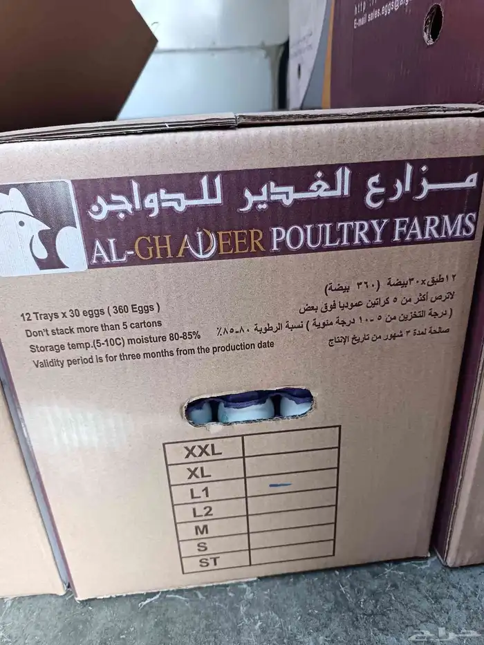 كراتين بيض شركة الغدير 0