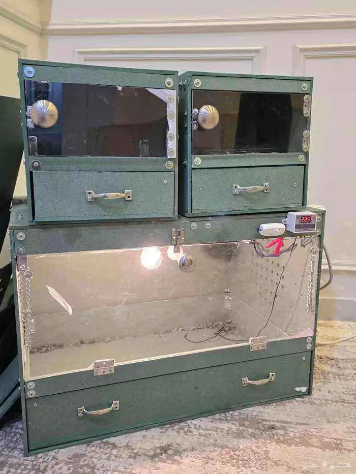 حضانات فروخ روز كنيور كروان كاسكو وغيرها تماتيك 2