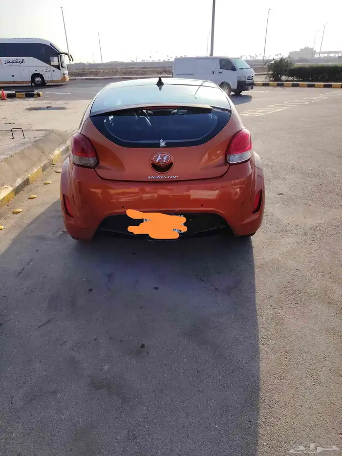 فيولستر 2013 0