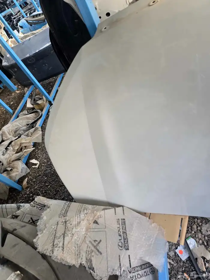 كبوت فيلوز ابيض لولوي2021-2023 3