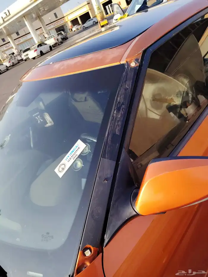 فيولستر 2013 3