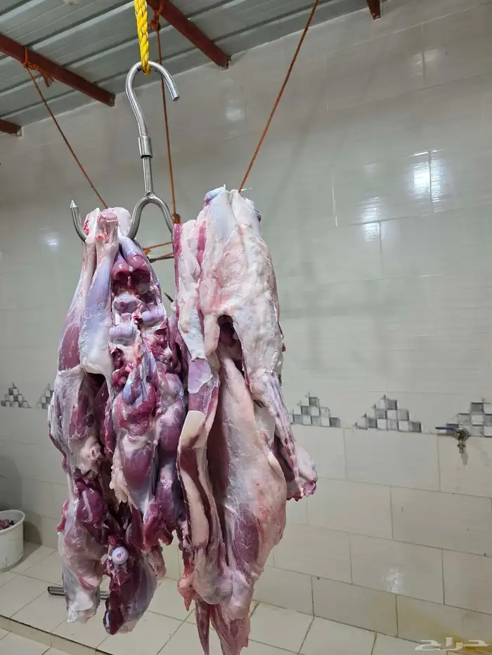 ذبايح مع الذبح والتوصيل 6