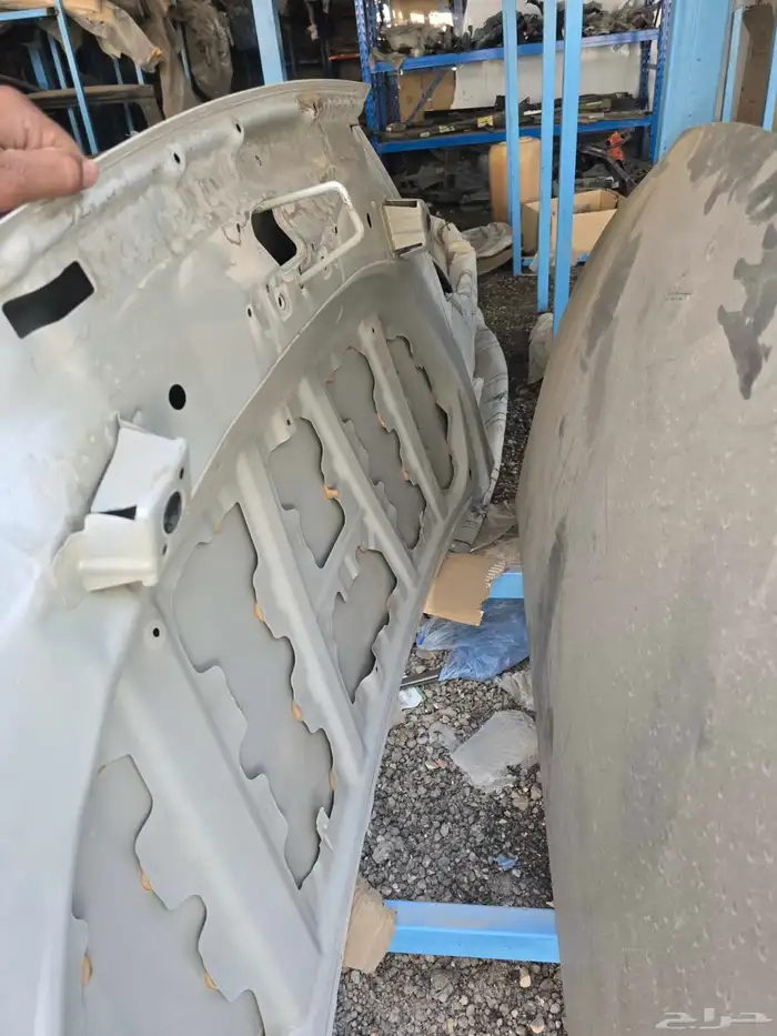 كبوت فيلوز ابيض لولوي2021-2023 5