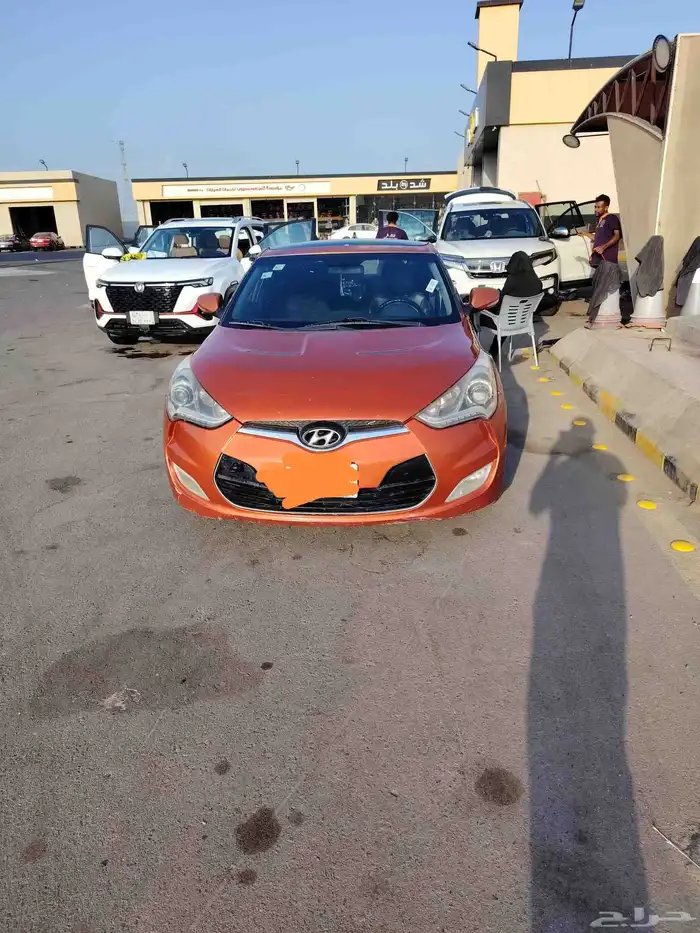 فيولستر 2013 2