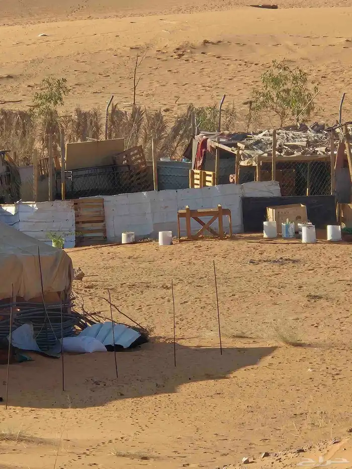 شبوك حديد بوابة شبوك ابل وغنم عدد 40 شبك بركس غرفة 1