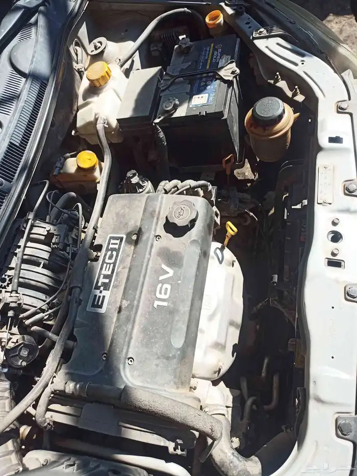 افيو نضيفه للبيع 3