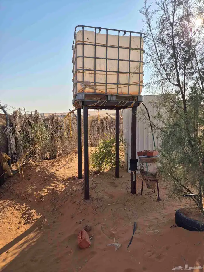 شبوك حديد بوابة شبوك ابل وغنم عدد 40 شبك بركس غرفة 3