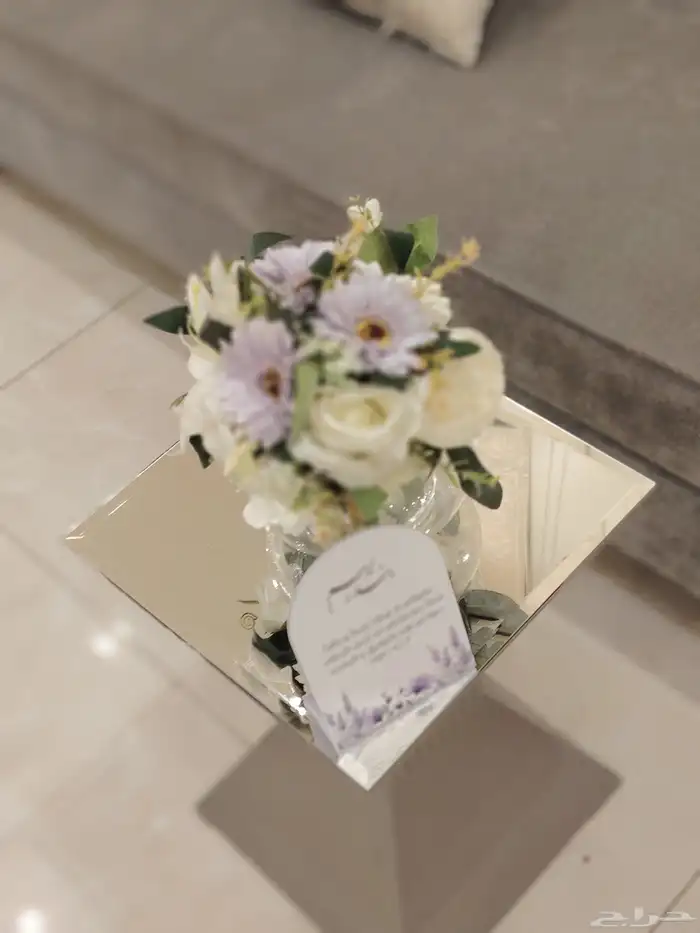 كوش الطائف 4