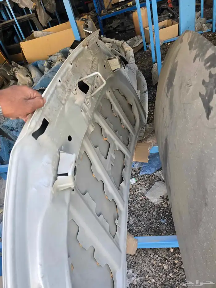 كبوت فيلوز ابيض لولوي2021-2023 4