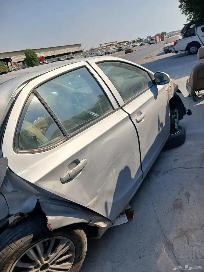 شيري اريزو 3. 2020 2