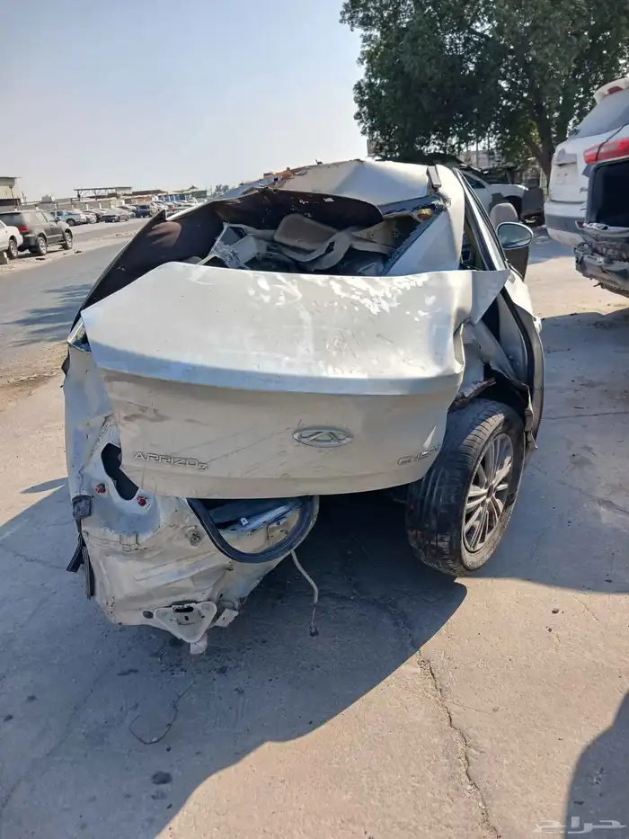 شيري اريزو 3. 2020 5