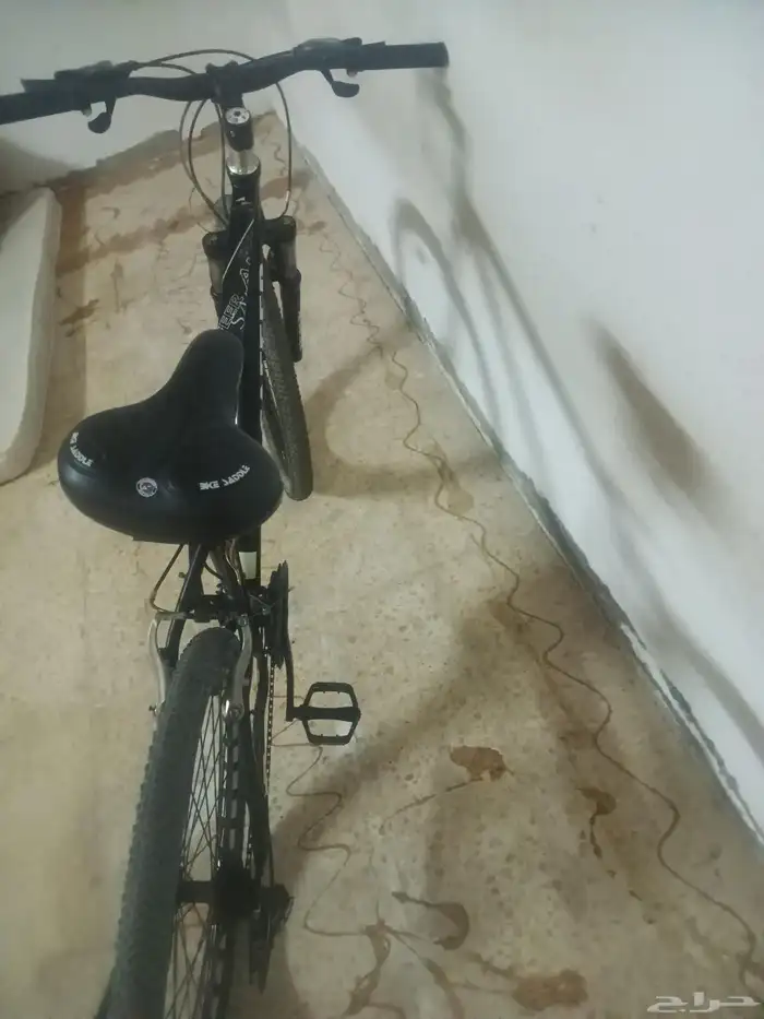 سيكل تعاشق 0