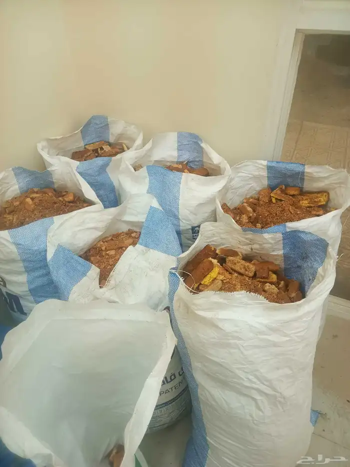 شابوره ناشفه للاغنام 2