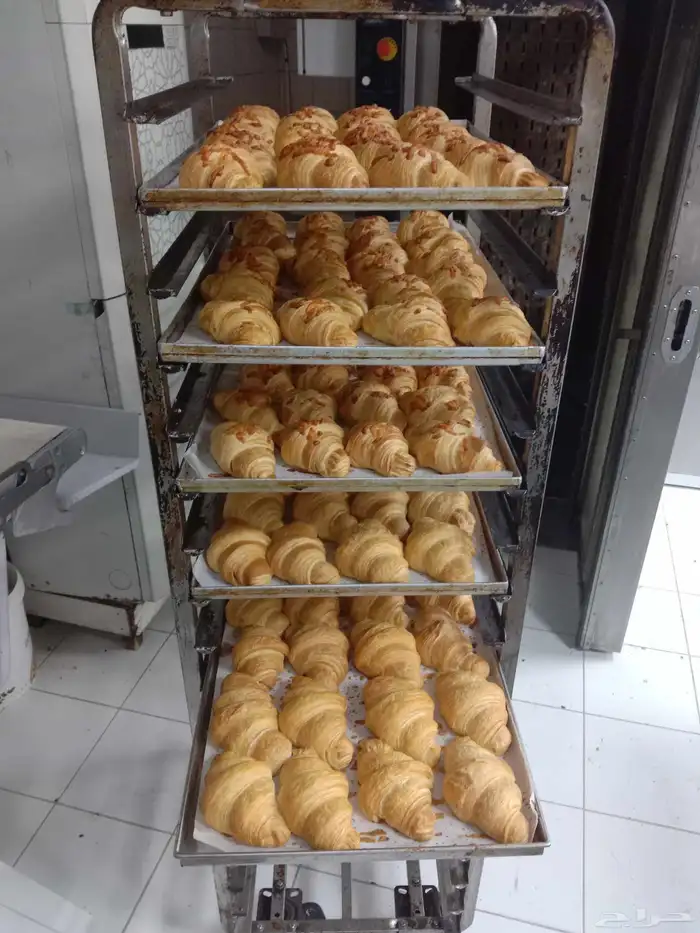 شيف مخبوزات جميع انواع المخبوزات أبحث عن عمل 11